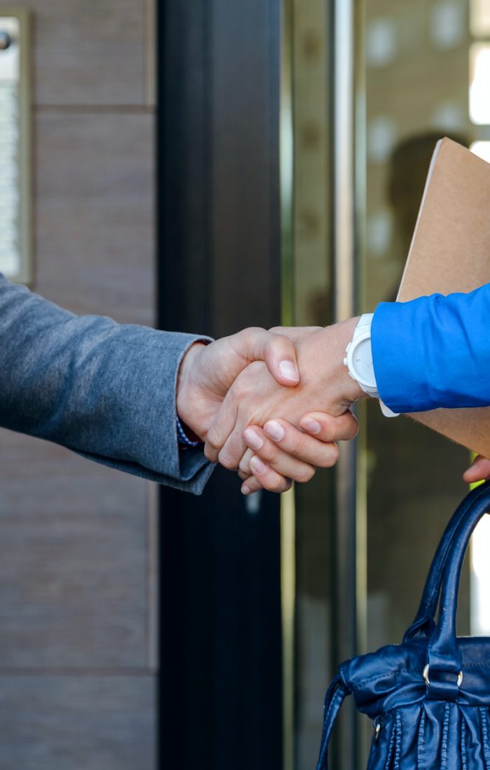 Businessman and businesswoman giving a handshake